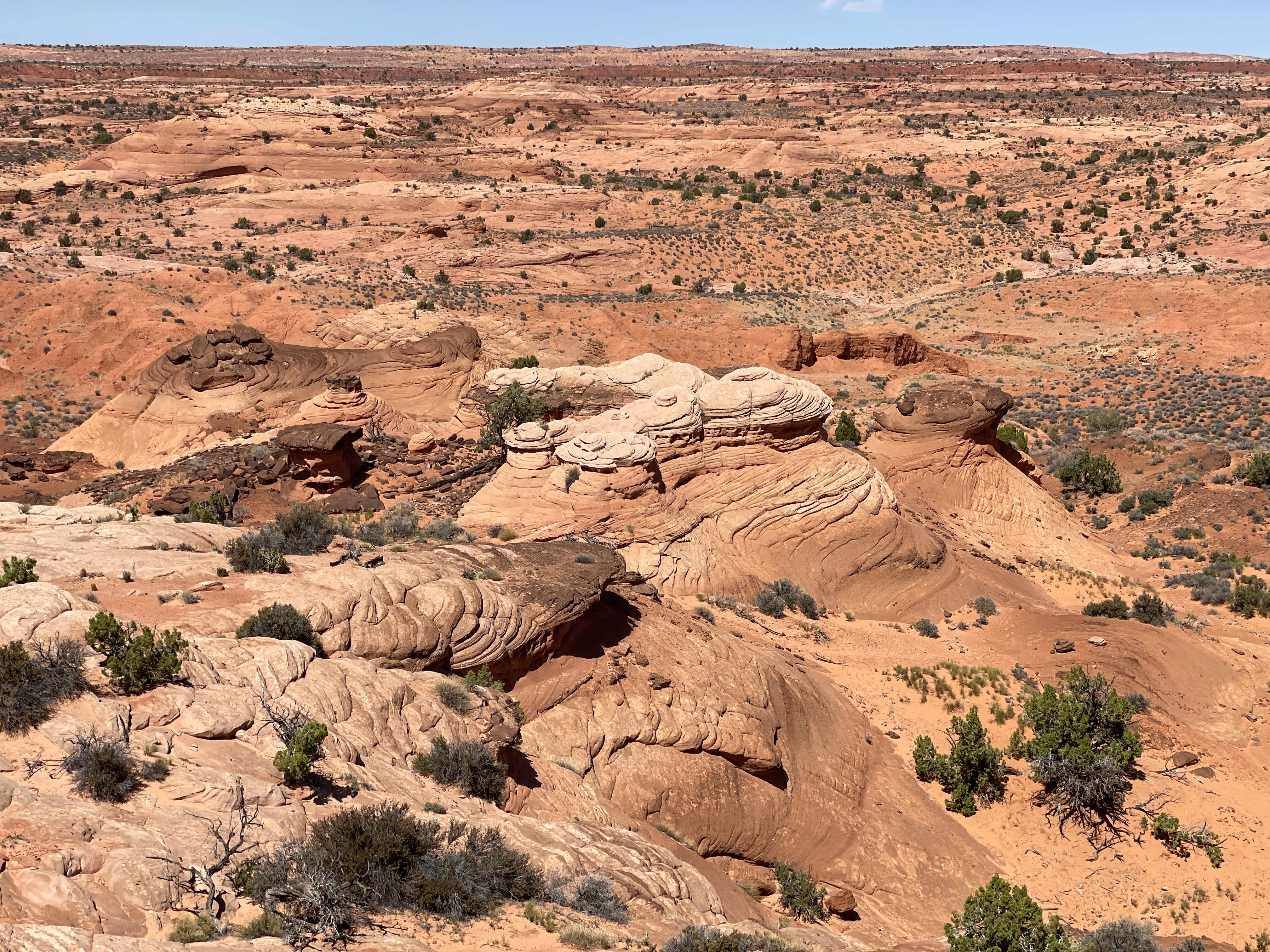 Utah